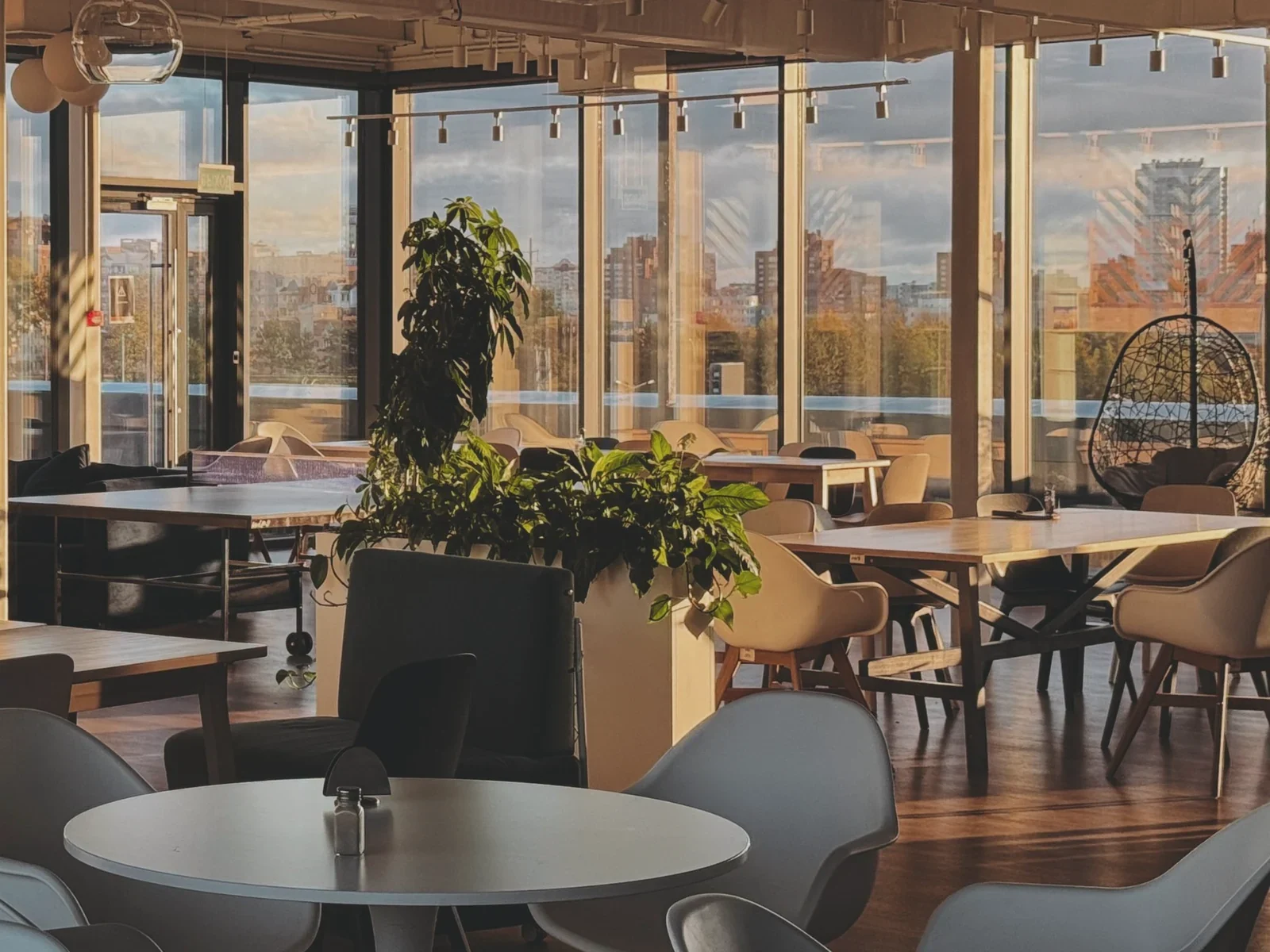 Espacio de trabajo compartido con plantas y luz de atardecer