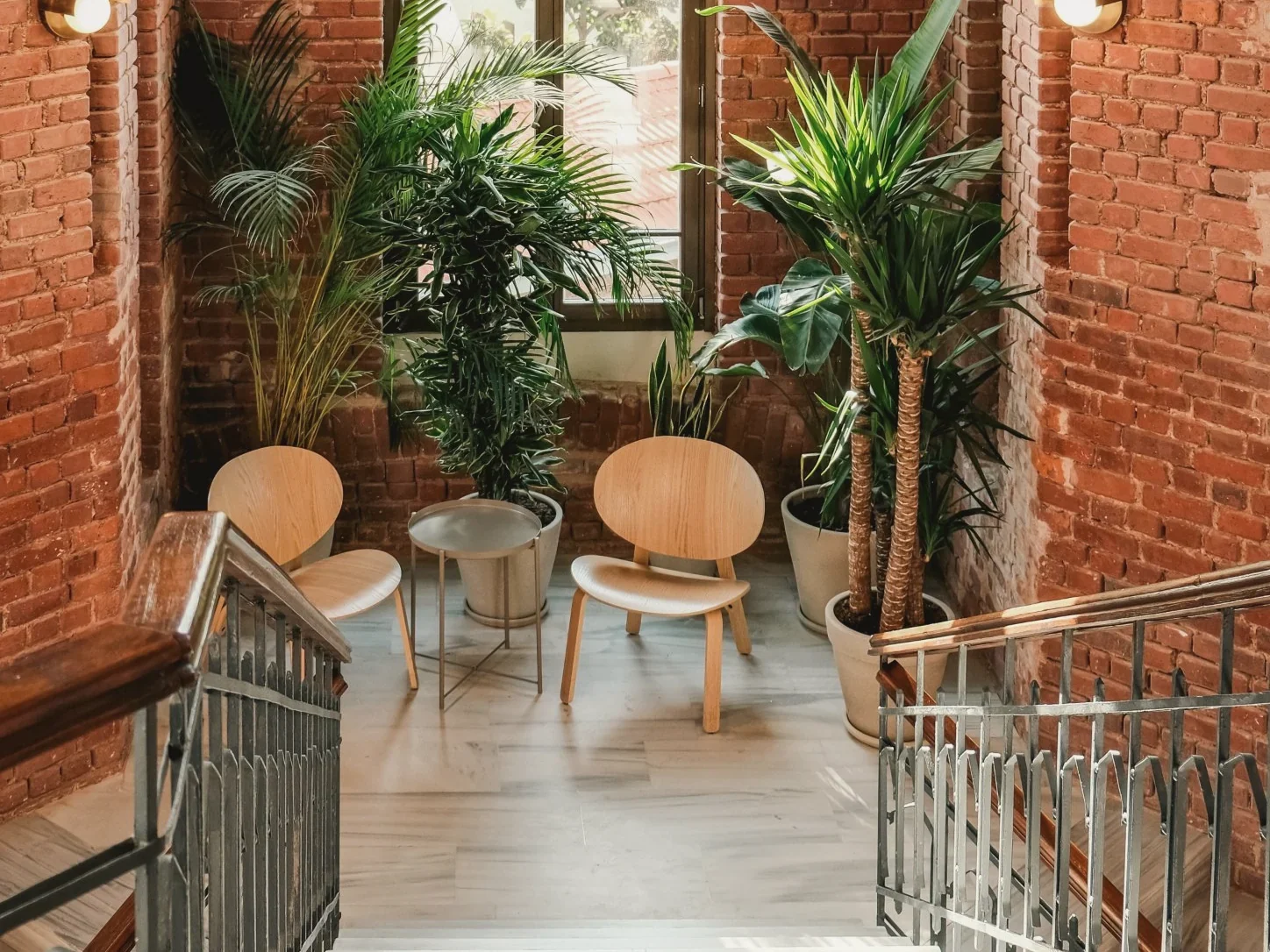 Rincón con dos sillas y plantas junto a una ventana alta