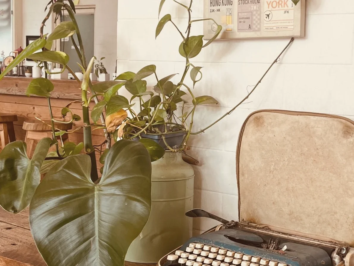 Máquina de escribir y carteles de destinos internacionales junto a una planta